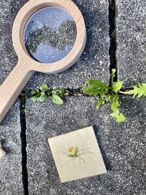 Top 5 attività di primavera