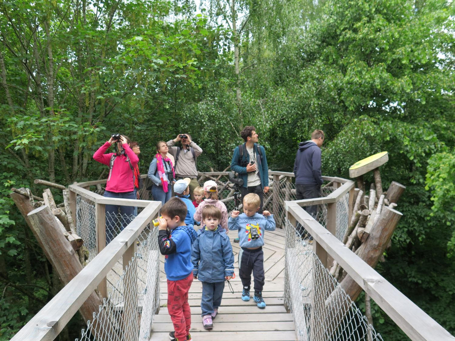 Merci aux lignes Pedibus… entre forêt et oiseaux