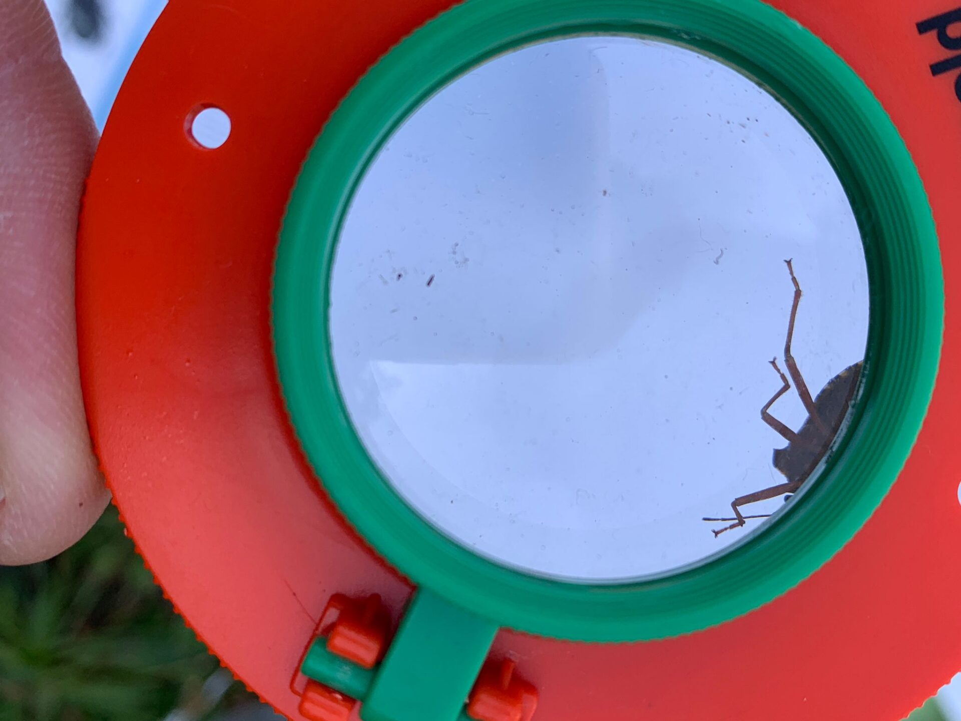 Quand la Maison des Pitchounes part à la découverte de son environnement